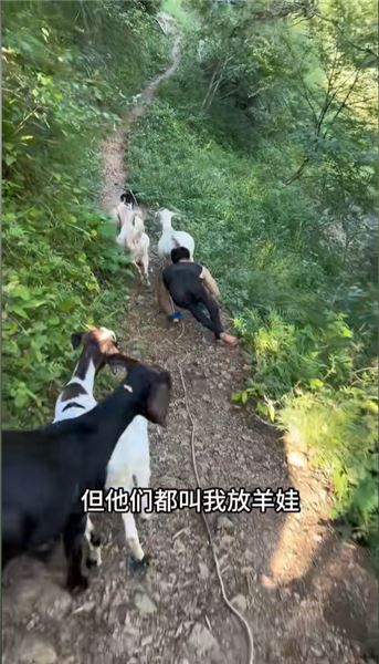 我走的每一步都不是為了自己：以手為足，扛起一整個家的重量