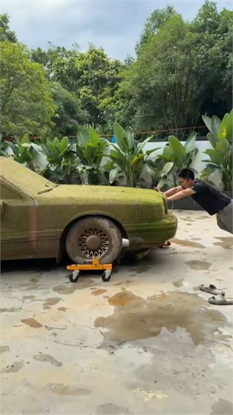 復活長滿苔蘚的 35 年林肯，老車除異味我有妙招