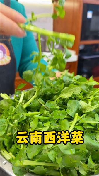家常一鍋奶白上湯西洋菜，真的能比大酒店六十八元更值嗎？