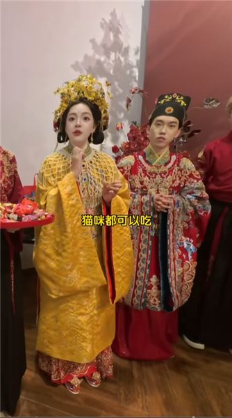 新人大喜的日子，也成為流浪貓貓迎來新生最好的日子