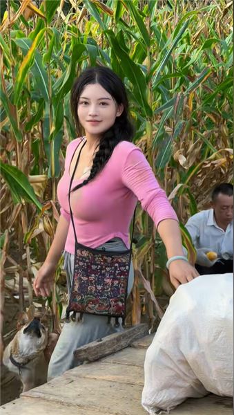 大山里的秋收：收玉米的日子，農村姑娘小青靠雙手扛起生活