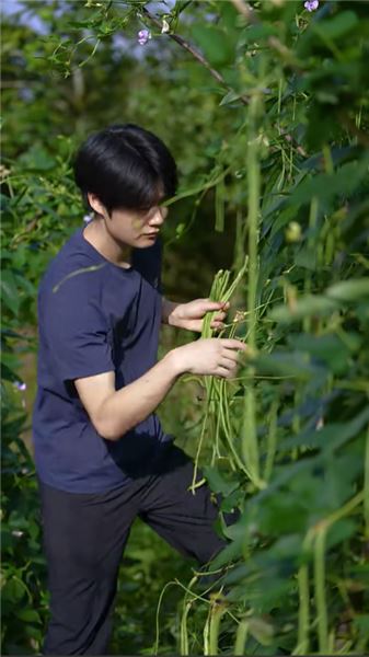周周和東毛，會復刻許華升黃汝富的故事嗎？