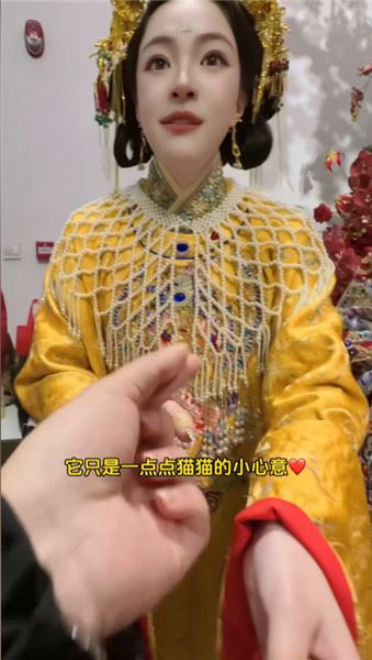 新人大喜的日子，也成為流浪貓貓迎來新生最好的日子