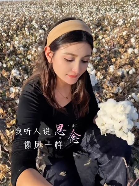 我是小塔：回應兩個大家最關心的問題：我結婚了嗎，為什么更新這么慢？