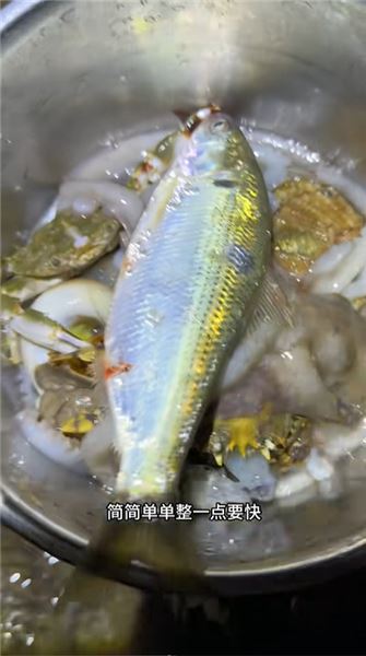 來咯來咯，又來海田趕海覓食咯！今天又能美餐一頓了！