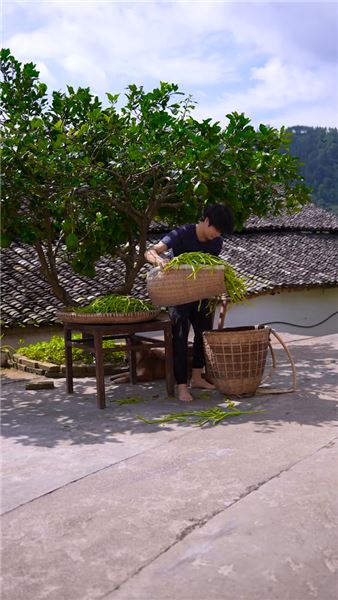 四日淺漬青豇完整教程：脆酸鮮椒配農家臘肉，一碗煙火藏人間清歡