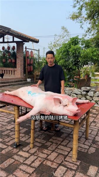我是大葵，進村尋味的曬油佬，統一回復粉絲的調侃