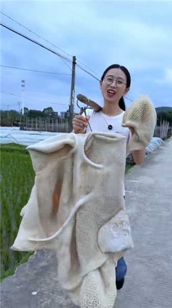 統一回復｜聊聊我做巨型食材擺攤視頻的初衷