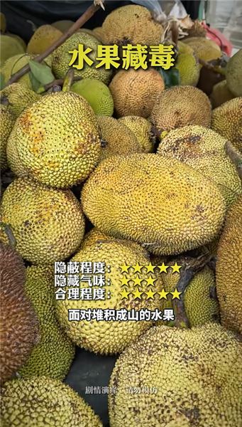 沉浸式體驗中緬邊境緝毒演練：三種花式藏毒，全部難逃邊境鐵卡