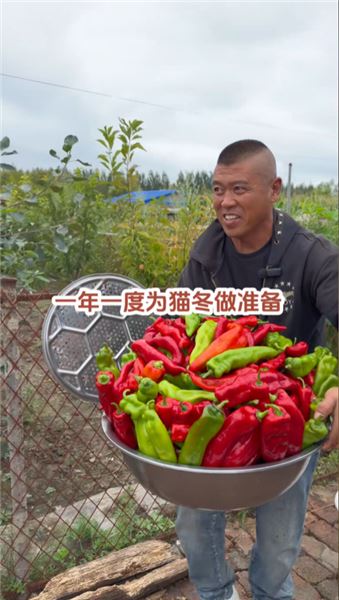 東北貓冬進行時：凍辣椒、熬牛肉辣椒醬，藏在煙火里的秋冬儀式感