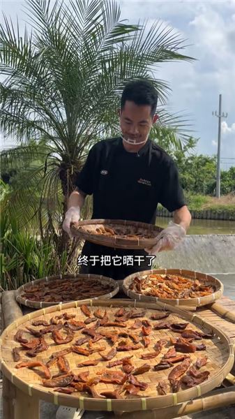 小時候經常在農村看到的楊桃，現在慢慢的已經看不到了，今天做個楊桃干進村。