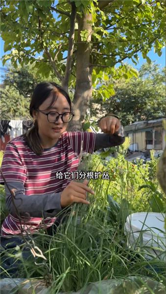留在老家種菜不是沖動，說說我的家人、規劃和心愿