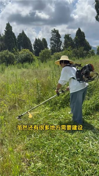搬進了30多畝的新家，也給貓貓們的生活開了個好頭