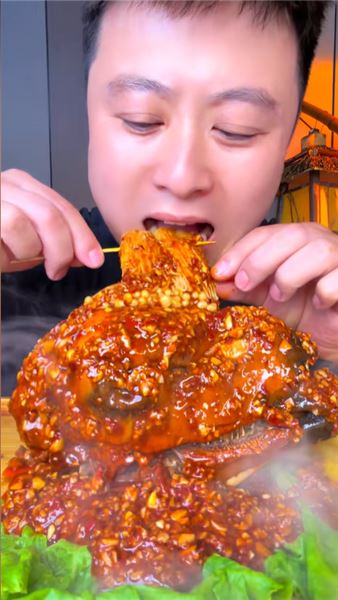 濤弟愛吃魚 —— 熱鬧真實的吃魚大隊