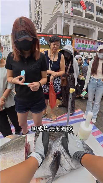 這魚講真能拽著船跑??GT 牛港鲹！海釣人遇上它，到底是什么體驗？