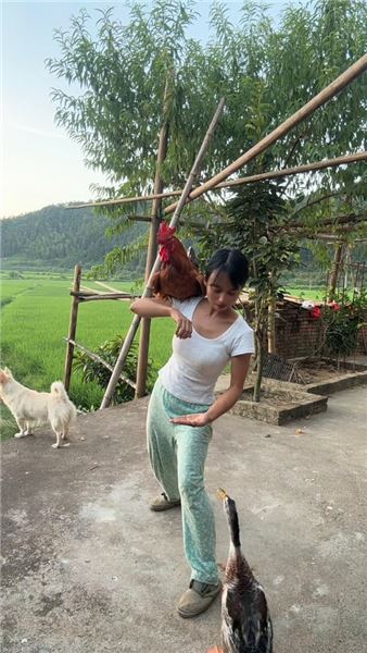 萬物皆有靈，一只能聽懂人話的大公雞和一只能聽懂人話的小鴨子