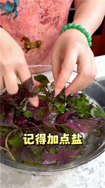 三伏空調人必備紫蘇甘草飲，簡單幾步煮出清爽夏日養生水