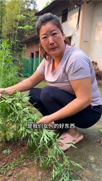 這平凡的益母草，被不少人稱作女人草。每到它生長的季節，我總會采些回來熬成膏，存在家中。女孩子嘛，無論何時，都要記得好好善待自己
