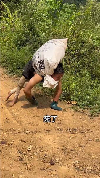 我走的每一步都不是為了自己：以手為足，扛起一整個家的重量
