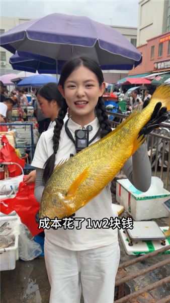 我們今天擺攤賣世界上最貴的魚 —— 中國魚王大黃花魚