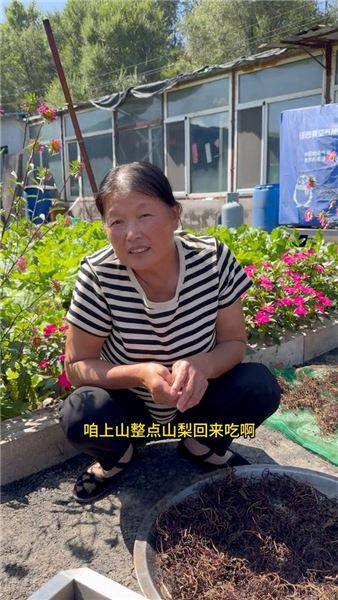 我是崔小斌，好多人好奇，在東北怎么什么都吃？