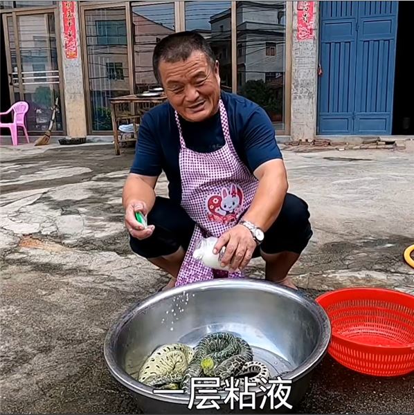 760 元買下 7 條兇猛花龍，處理時險被咬傷，一鍋椒鹽海鰻，海邊漢子的硬核下酒菜