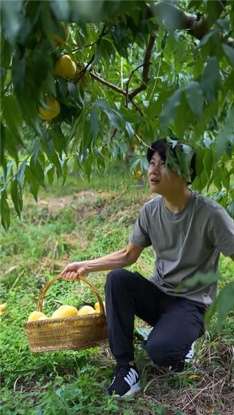 周周和東毛，會復刻許華升黃汝富的故事嗎？