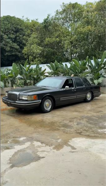 復活長滿苔蘚的 35 年林肯，老車除異味我有妙招