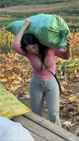大山里的秋收：收玉米的日子，農村姑娘小青靠雙手扛起生活