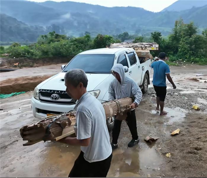 跨國帶小糯米打針，一路風雨萬般不易