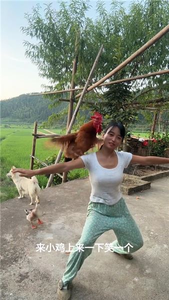 萬物皆有靈，一只能聽懂人話的大公雞和一只能聽懂人話的小鴨子