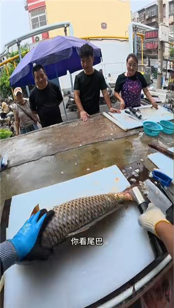 殺鯉魚不放血不抽筋？別隔著屏幕評判我的手藝