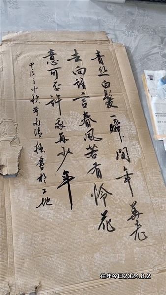 二十歲鮮衣怒馬三十歲歷經起落，少年心氣是不可再生的滾燙寶藏