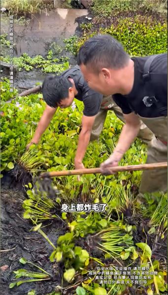 調侃我敢抓 “辣條” 就敢摸三相電？聽聽我的回應
