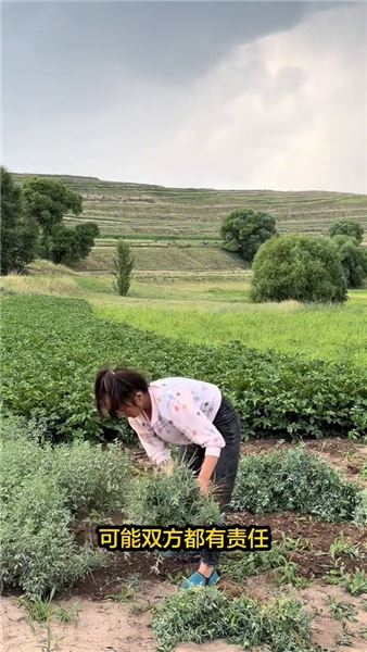 耗盡心力的婚姻終落幕，一餐西北家常，撫平單親媽媽半生委屈