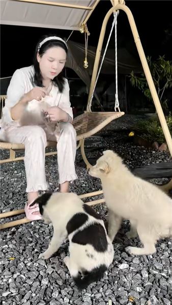 跟著翟姐姐一起做阿膠吧，女人得知道養好自己。