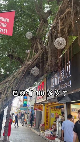 走進中國最神奇的街一街兩制，深圳中英街：250米小街，讀懂百年家國滄桑