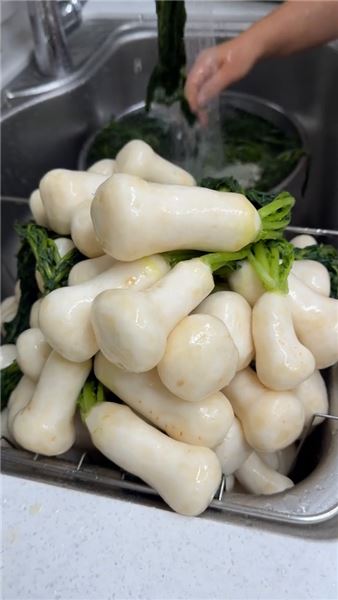 韓國入冬腌泡菜季，百根小蘿卜，跟著婆婆做地道家庭小蘿卜泡菜