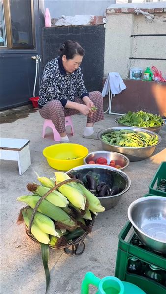東北小院入秋忙：把滿園秋色儲存，為漫長貓冬做好準備