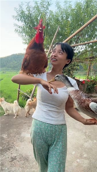 萬物皆有靈，一只能聽懂人話的大公雞和一只能聽懂人話的小鴨子