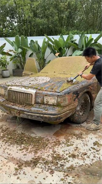 復活長滿苔蘚的 35 年林肯，老車除異味我有妙招