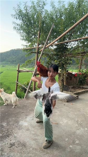 萬物皆有靈，一只能聽懂人話的大公雞和一只能聽懂人話的小鴨子