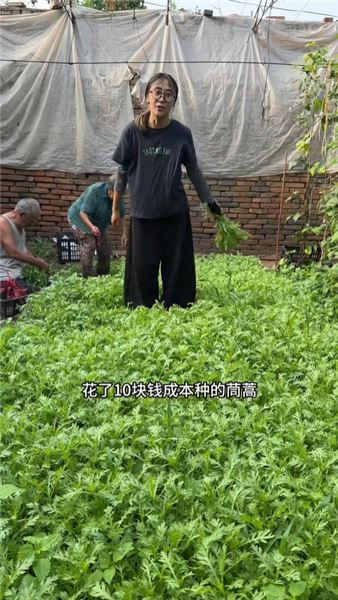 留在老家種菜不是沖動，說說我的家人、規劃和心愿