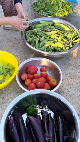 東北小院入秋忙：把滿園秋色儲存，為漫長貓冬做好準備