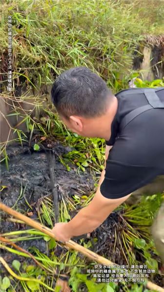 調侃我敢抓 “辣條” 就敢摸三相電？聽聽我的回應