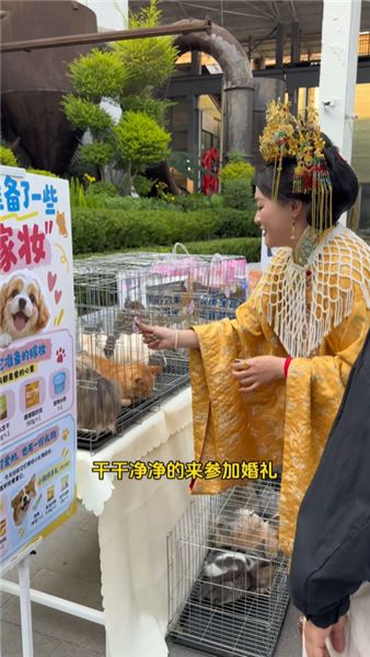 新人大喜的日子，也成為流浪貓貓迎來新生最好的日子