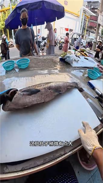 殺鯉魚不放血不抽筋？別隔著屏幕評判我的手藝