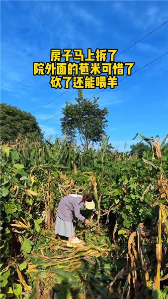 陪前男友一起搬家，我們的關系似乎有些變化，大家覺得我還要不要繼續堅持？