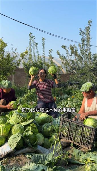 留在老家種菜不是沖動，說說我的家人、規劃和心愿