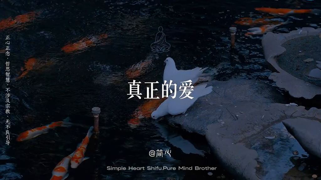 每個人都有自己的人生劇本，不必強行干預親人的因果。不做導演，不做審判官，守住邊界，允許一切發生，守望不捆綁，各自安好才是圓滿。